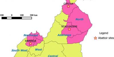 کامرون نشان دادن مناطق نقشه